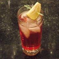 Cranberry Gin and Tonic image