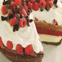 chocolate raspberry ice cream pie_image