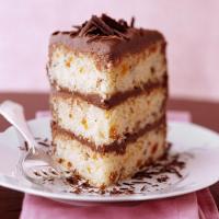 Apricot Cream Cake with Chocolate-Mascarpone Frosting_image