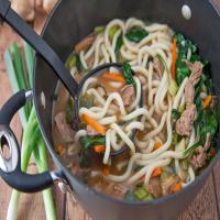 Udon-Beef Noodle Bowl image