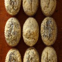 Lemon Poppy-Seed Muffins image