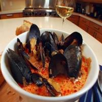 Spicy Mussels with Chorizo and Wine image