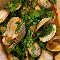 Steamed Clams with Smoky Harissa-Cumin Tomato Sauce image