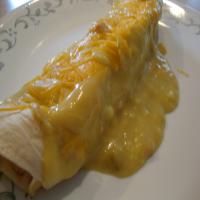 Creamy Chicken Enchiladas_image