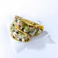 Tuna Soft Tacos image