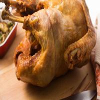 Basic Deep-Fried Turkey Recipe_image