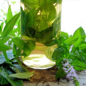 Herbal Vinegar With Lemon Verbena & Mint_image