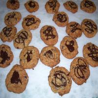 Famous Oatmeal Cookies_image