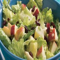 Romaine Salad with Apples and Cranberries image