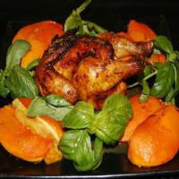 Moroccan Cornish Game Hens Recipe - (4.5/5)_image
