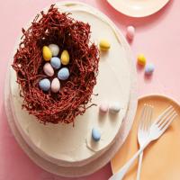 Chocolate Pastel Easter Cake with a Chocolate Vermicelli Nest_image