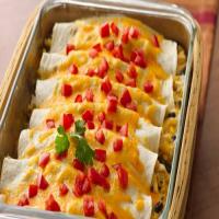Creamy Chicken Chile Enchiladas_image