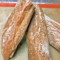 Whole Wheat Ciabatta Bread Recipe_image