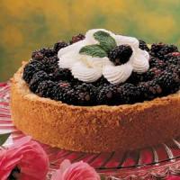 Blackberry Custard Torte_image
