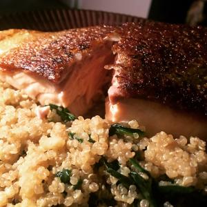 Rick's Sauteed Salmon over Quinoa_image