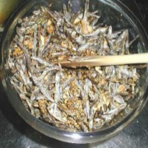 Tazukuri (dried Sardine) image