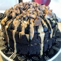 REESE PEANUTBUTTER CUP CHOCOLATE CAKE_image