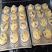 AGAVE BLUEBERRY KING SIZE MUFFINS image