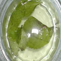 Mint Vinegar image