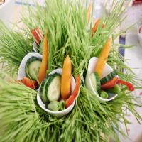 Veggie Forest with Parmesan Ranch Dip_image
