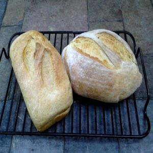 Vichyssoise (Potato-Leek) Bread_image