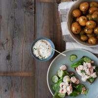 Shrimp and Cucumber Salad with Horseradish Mayo image