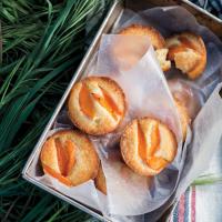 Little Apricot Cakes image