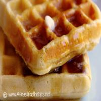 Buttermilk Waffles for Two Recipe - (4.4/5)_image