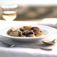 Linguine with Spicy Clam Sauce image