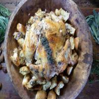 Simple Roast Chicken with Chestnut Breading_image