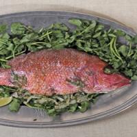 Whole Roasted Fish with Fennel_image