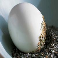 How to Make Perfect Hard-Boiled Eggs_image