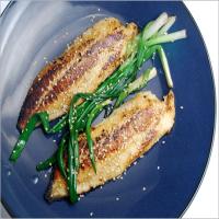Tilapia with Miso and Scallions Recipe - (4.2/5) image