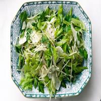 Celery Salad with Celery Root and Horseradish Recipe - (4.3/5)_image
