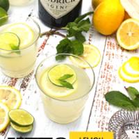 Sugar-Free Simple Syrup Southside Gin Recipe_image
