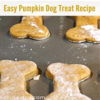 Easy Pumpkin Dog Treat Recipe_image