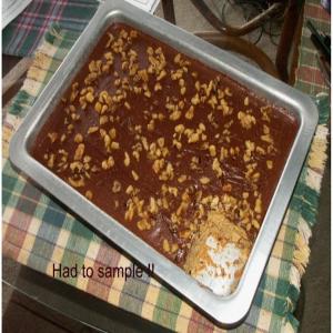 Peanut Butter Cake/Chocolate Mocha Frosting_image