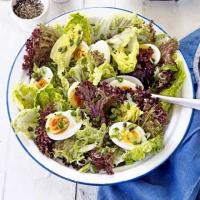 Country salad_image
