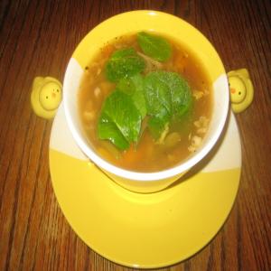 Savoy Cabbage Soup_image