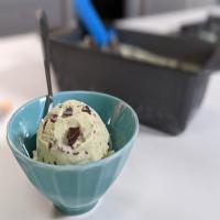 Double Mint Chip Ice Cream_image