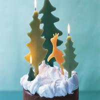 Chocolate Cake with Snowy Meringue image