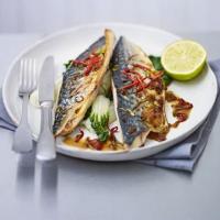 Grilled mackerel with sweet soy glaze_image