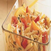 Penne Pasta and Fresh Tomatoes_image