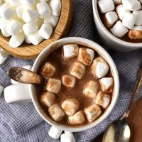 Easy Homemade Hot Chocolate (GF/DF)_image