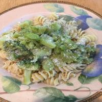 Broccoli and Macaroni_image