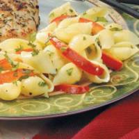 Pasta Shells with Herbs_image