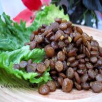 Lentil Salad in Olive Oil With Egyptian Spices image