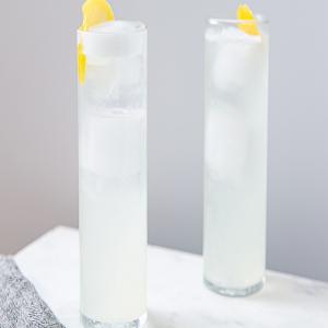 Classic Gin Fizz Cocktail_image