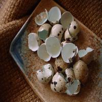 Quail Eggs With Celery Salt_image
