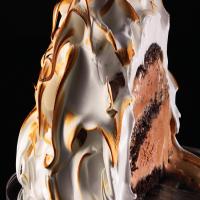 Baked Alaska with Chocolate Cake and Chocolate Ice Cream_image